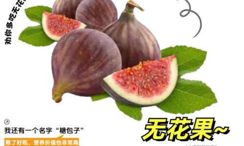 洋姜功效和作用及禁忌-【洋姜功效和作用】洋姜功效研究 - 洋姜功效网